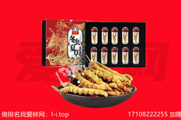 和政县回收虫草.jpg
